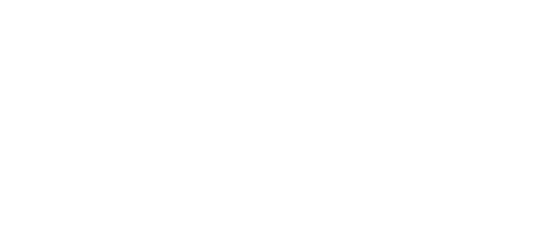 DragonFly logo